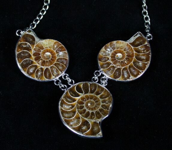 Triple Ammonite Necklace #3366